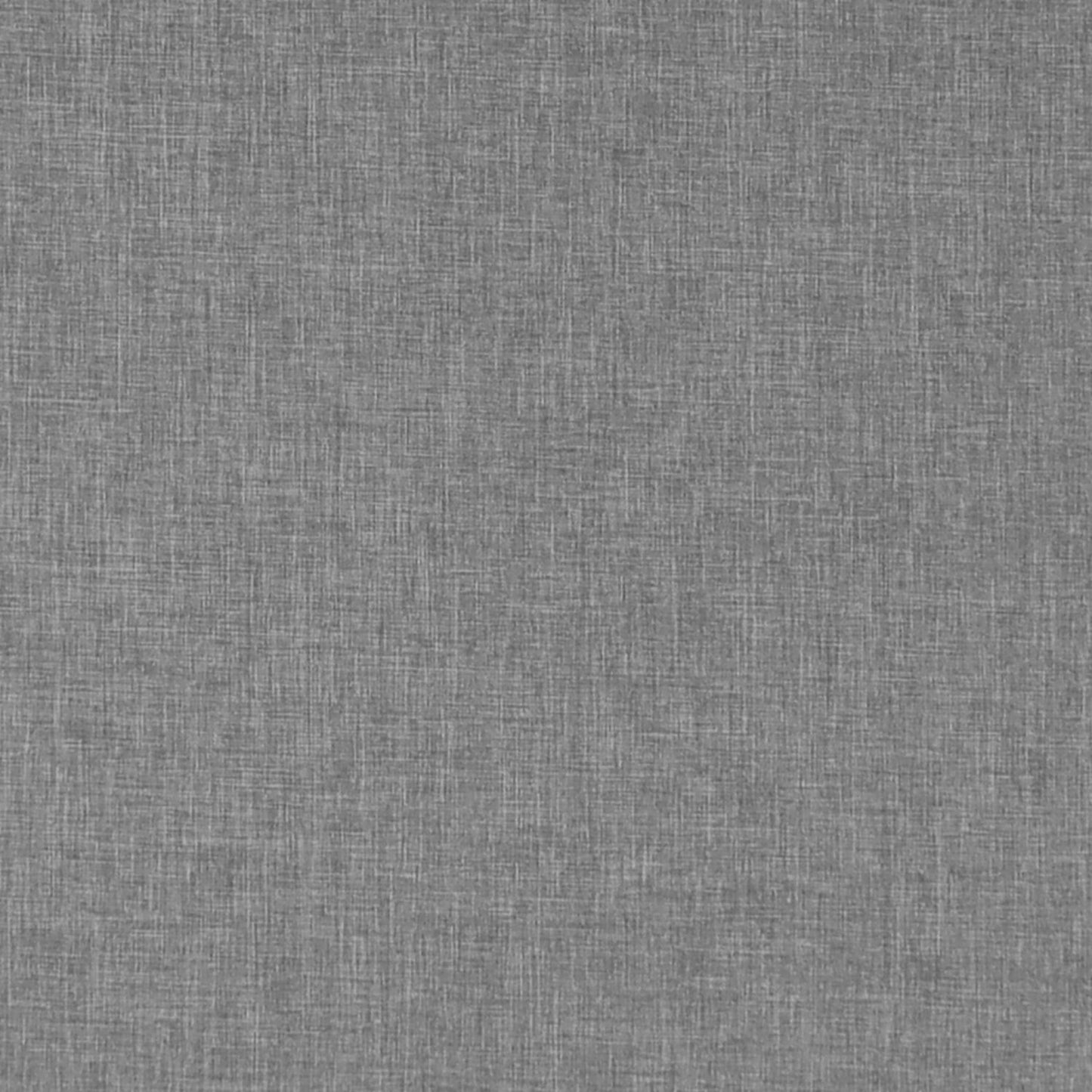 Bouvardia | Medium Grey